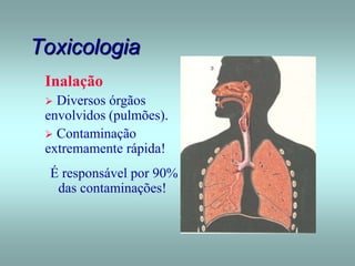 Toxicologia
Inalação
 Diversos órgãos
envolvidos (pulmões).
 Contaminação
extremamente rápida!
É responsável por 90%
das contaminações!
 