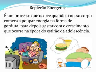 Repleção Energética
É um processo que ocorre quando o nosso corpo
começa a poupar energia na forma de
gordura, para depois gastar com o crescimento
que ocorre na época do estirão da adolescência.
 