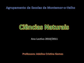 Agrupamento de Escolas de Montemor-o-Velho Ciências Naturais Ano Lectivo 2010/2011 Professora: Adelina Cristina Gomes 