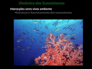 Ciência e conhecimento do UniversoCiência, TecnologiaSociedade e Ambiente