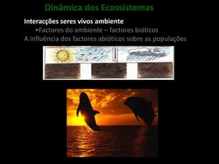 Ciência e conhecimento do UniversoA Terra, um Planeta com vida