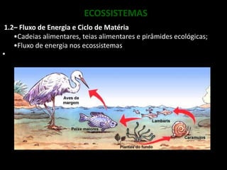 Condições da Terra que eprmitiram a existência de vidaA Terra, um Planeta com vida	A Terra como um sistema