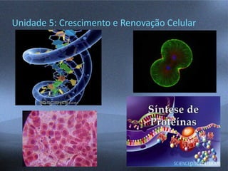 Unidade 5: Crescimento e Renovação Celular
 