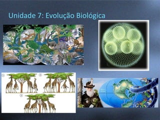 Unidade 7: Evolução Biológica
 