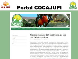 Portal COCAJUPI 