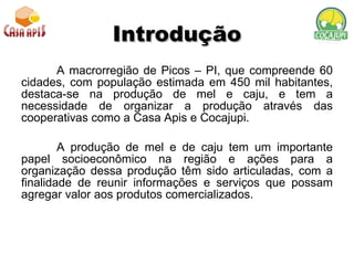 Introdução A macrorregião de Picos – PI, que compreende 60 cidades, com população estimada em 450 mil habitantes, destaca-se na produção de mel e caju, e tem a necessidade de organizar a produção através das cooperativas como a Casa Apis e Cocajupi.  A produção de mel e de caju tem um importante papel socioeconômico na região e ações para a organização dessa produção têm sido articuladas, com a finalidade de reunir informações e serviços que possam agregar valor aos produtos comercializados. 