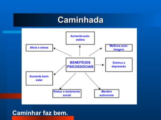 Caminhada 