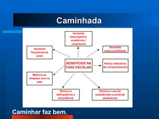 Caminhada 