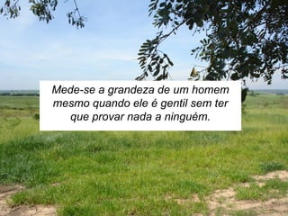 Mede-se a grandeza de um homem
mesmo quando ele é gentil sem ter
que provar nada a ninguém.
 