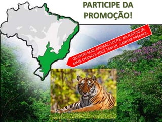 PARTICIPE DA
PROMOÇÃO!
 
