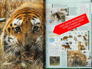 PARTICIPE DA
PROMOÇÃO!
 