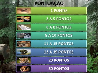PONTUAÇÃO
1 PONTO
2 A 5 PONTOS
6 A 8 PONTOS
8 A 10 PONTOS
11 A 15 PONTOS
12 A 19 PONTOS
20 PONTOS
30 PONTOS
 