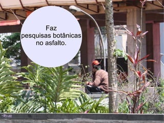 Faz pesquisas botânicas no asfalto. 