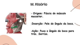 M. Risório
 