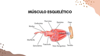 Lorem ipsum dolor
sit amet,
consectetur
adipiscing elit. Etiam
mattis scelerisque
justo, et faucibus
nibh mattis et.
Vivamus vitae
gravida sem.
 