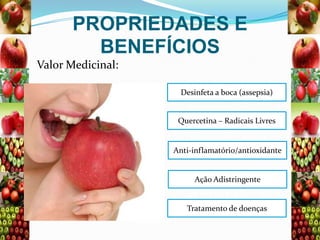 PROPRIEDADES E
BENEFÍCIOS
Valor Medicinal:
Desinfeta a boca (assepsia)

Quercetina – Radicais Livres

Anti-inflamatório/antioxidante

Ação Adistringente

Tratamento de doenças

 