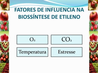 FATORES DE INFLUENCIA NA
BIOSSÍNTESE DE ETILENO

O2

CO2

Temperatura

Estresse

 
