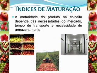 ÍNDICES DE MATURAÇÃO
 A maturidade do produto na colheita

depende das necessidades do mercado,
tempo de transporte e necessidade de
armazenamento;

 