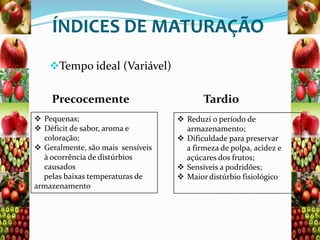 ÍNDICES DE MATURAÇÃO
Tempo ideal (Variável)

Precocemente
 Pequenas;
 Déficit de sabor, aroma e
coloração;
 Geralmente, são mais sensíveis
à ocorrência de distúrbios
causados
pelas baixas temperaturas de
armazenamento

Tardio
 Reduzi o período de
armazenamento;
 Dificuldade para preservar
a firmeza de polpa, acidez e
açúcares dos frutos;
 Sensíveis a podridões;
 Maior distúrbio fisiológico

 