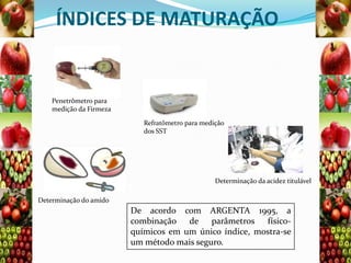 ÍNDICES DE MATURAÇÃO

Penetrômetro para
medição da Firmeza
Refratômetro para medição
dos SST

Determinação da acidez titulável
Determinação do amido

De acordo com ARGENTA 1995, a
combinação de parâmetros físicoquímicos em um único índice, mostra-se
um método mais seguro.

 