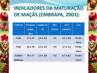 INDICADORES DA MATURAÇÃO
DE MAÇÃS (EMBRAPA, 2003):
Cultivar

Firmeza

Amido (1-

SST

ATT

polpa

5)

(ºbrix)

(cmol/L)

2,0 a 3,0

>11

5,2 a 6,0

Cor

(lbs)
Gala

17 a 19

Verdeclara

Fuji

16 a 18

2,5 a 3,5

>12

3,7 a 5,2

Verdeclara

Golden
delicious

15 a 17

2,5 a 3,0

>12

6.7 a 8,2

Verdeclara

 