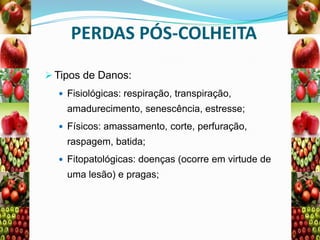 PERDAS PÓS-COLHEITA
 Tipos de Danos:
 Fisiológicas: respiração, transpiração,

amadurecimento, senescência, estresse;
 Físicos: amassamento, corte, perfuração,

raspagem, batida;
 Fitopatológicas: doenças (ocorre em virtude de

uma lesão) e pragas;

 