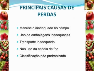 PRINCIPAIS CAUSAS DE
PERDAS
 Manuseio inadequado no campo

 Uso de embalagens inadequadas
 Transporte inadequado

 Não uso da cadeia de frio
 Classificação não padronizada

 