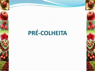 PRÉ-COLHEITA

 