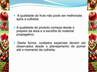  A qualidade do fruto não pode ser melhorada

após a colheita;
 A qualidade do produto começa desde o

preparo da área e a escolha do material
propagativo;
 Desta forma, cuidados especiais devem ser

observados desde o planejamento do pomar
até o momento da colheita;

 