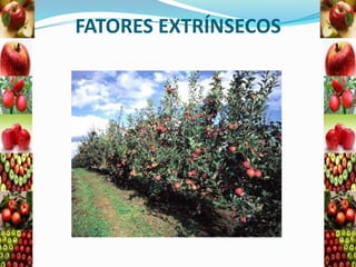 FATORES EXTRÍNSECOS

 