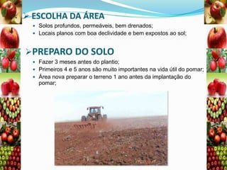  ESCOLHA DA ÁREA
 Solos profundos, permeáveis, bem drenados;

 Locais planos com boa declividade e bem expostos ao sol;

PREPARO DO SOLO
 Fazer 3 meses antes do plantio;
 Primeiros 4 e 5 anos são muito importantes na vida útil do pomar;
 Área nova preparar o terreno 1 ano antes da implantação do

pomar;

 