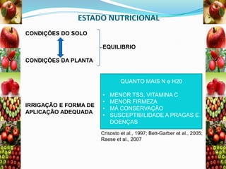 ESTADO NUTRICIONAL
CONDIÇÕES DO SOLO
EQUILIBRIO
CONDIÇÕES DA PLANTA

QUANTO MAIS N e H20

IRRIGAÇÃO E FORMA DE
APLICAÇÃO ADEQUADA

•
•
•
•

MENOR TSS, VITAMINA C
MENOR FIRMEZA
MÁ CONSERVAÇÃO
SUSCEPTIBILIDADE A PRAGAS E
DOENÇAS

Crisosto et al., 1997; Bett-Garber et al., 2005;
Raese et al., 2007

 