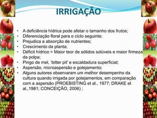 IRRIGAÇÃO
•
•
•
•
•

A deficiência hídrica pode afetar o tamanho dos frutos;
Diferenciação floral para o ciclo seguinte;
Prejudica a absorção de nutrientes;
Crescimento da planta;
Déficit hídrico = Maior teor de sólidos solúveis e maior firmeza
da polpa;
• Pingo de mel, „bitter pit' e escaldadura superficial;
• Aspersão, microaspersão e gotejamento;
• Alguns autores observaram um melhor desempenho da
cultura quando irrigada por gotejamentos, em comparação
com a aspersão (PROEBISTING et al., 1977; DRAKE et
al.,1981; CONCEIÇÃO, 2006) ;

 