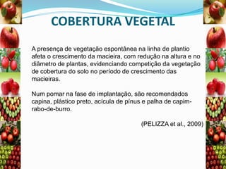 COBERTURA VEGETAL
A presença de vegetação espontânea na linha de plantio
afeta o crescimento da macieira, com redução na altura e no
diâmetro de plantas, evidenciando competição da vegetação
de cobertura do solo no período de crescimento das
macieiras.
Num pomar na fase de implantação, são recomendados
capina, plástico preto, acícula de pínus e palha de capimrabo-de-burro.

(PELIZZA et al., 2009)

 