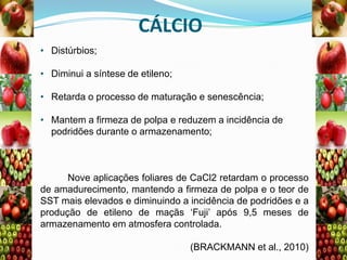 CÁLCIO
• Distúrbios;
• Diminui a síntese de etileno;
• Retarda o processo de maturação e senescência;
• Mantem a firmeza de polpa e reduzem a incidência de
podridões durante o armazenamento;

Nove aplicações foliares de CaCl2 retardam o processo
de amadurecimento, mantendo a firmeza de polpa e o teor de
SST mais elevados e diminuindo a incidência de podridões e a
produção de etileno de maçãs „Fuji‟ após 9,5 meses de
armazenamento em atmosfera controlada.
(BRACKMANN et al., 2010)

 