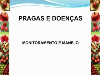 PRAGAS E DOENÇAS

MONITORAMENTO E MANEJO

 