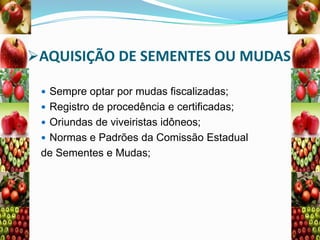 AQUISIÇÃO DE SEMENTES OU MUDAS
 Sempre optar por mudas fiscalizadas;
 Registro de procedência e certificadas;
 Oriundas de viveiristas idôneos;
 Normas e Padrões da Comissão Estadual

de Sementes e Mudas;

 