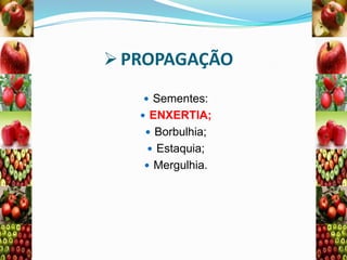  PROPAGAÇÃO
 Sementes:
 ENXERTIA;

 Borbulhia;
 Estaquia;
 Mergulhia.

 