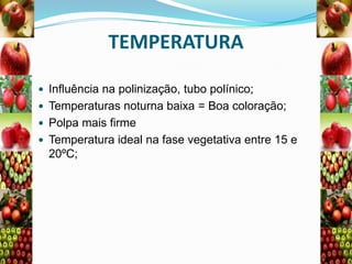 TEMPERATURA
 Influência na polinização, tubo polínico;

 Temperaturas noturna baixa = Boa coloração;
 Polpa mais firme
 Temperatura ideal na fase vegetativa entre 15 e

20ºC;

 