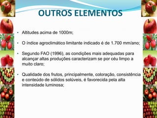 OUTROS ELEMENTOS
• Altitudes acima de 1000m;
• O índice agroclimático limitante indicado é de 1.700 mm/ano;

• Segundo FAO (1996), as condições mais adequadas para

alcançar altas produções caracterizam se por céu limpo a
muito claro;
• Qualidade dos frutos, principalmente, coloração, consistência

e conteúdo de sólidos solúveis, é favorecida pela alta
intensidade luminosa;

 