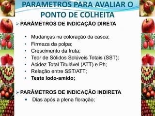 PARAMETROS PARA AVALIAR O
PONTO DE COLHEITA
 PARÂMETROS DE INDICAÇÃO DIRETA

• Mudanças na coloração da casca;
•
•
•
•
•
•

Firmeza da polpa;
Crescimento da fruta;
Teor de Sólidos Solúveis Totais (SST);
Acidez Total Titulável (ATT) e Ph;
Relação entre SST/ATT;
Teste Iodo-amido;

 PARÂMETROS DE INDICAÇÃO INDIRETA
 Dias após a plena floração;

 