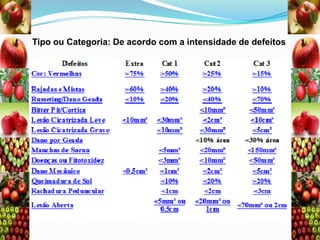 Tipo ou Categoria: De acordo com a intensidade de defeitos

 