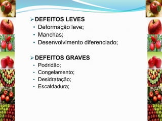  DEFEITOS LEVES
• Deformação leve;
• Manchas;
• Desenvolvimento diferenciado;
 DEFEITOS GRAVES
• Podridão;
• Congelamento;
• Desidratação;
• Escaldadura;

 
