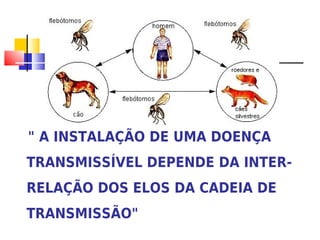 " A INSTALAÇÃO DE UMA DOENÇA
TRANSMISSÍVEL DEPENDE DA INTER-
RELAÇÃO DOS ELOS DA CADEIA DE
TRANSMISSÃO"
 