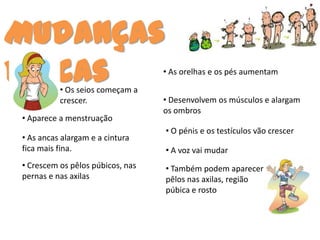 Mudanças
Físicas   • Os seios começam a
                                  • As orelhas e os pés aumentam


          crescer.                • Desenvolvem os músculos e alargam
                                  os ombros
• Aparece a menstruação
                                  • O pénis e os testículos vão crescer
• As ancas alargam e a cintura
fica mais fina.                   • A voz vai mudar
• Crescem os pêlos púbicos, nas   • Também podem aparecer
pernas e nas axilas               pêlos nas axilas, região
                                  púbica e rosto
 