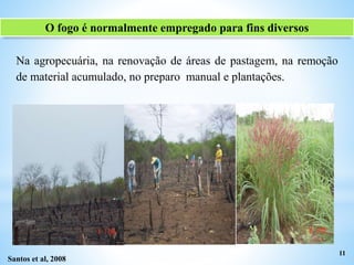 Na agropecuária, na renovação de áreas de pastagem, na remoção
de material acumulado, no preparo manual e plantações.
11
Santos et al, 2008
O fogo é normalmente empregado para fins diversos
 