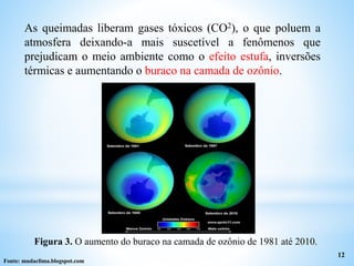 As queimadas liberam gases tóxicos (CO2), o que poluem a
atmosfera deixando-a mais suscetível a fenômenos que
prejudicam o meio ambiente como o efeito estufa, inversões
térmicas e aumentando o buraco na camada de ozônio.
12
Fonte: mudaclima.blogspot.com
Figura 3. O aumento do buraco na camada de ozônio de 1981 até 2010.
 