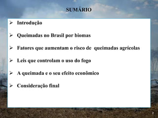2
 Introdução
 Queimadas no Brasil por biomas
 Fatores que aumentam o risco de queimadas agrícolas
 Leis que controlam o uso do fogo
 A queimada e o seu efeito econômico
 Consideração final
SUMÁRIO
 