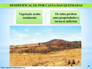 DESERTIFICAÇÃO POR CAUSA DAS QUEIMADAS
20
Fonte: valeriaesteves83.blogspot.com
Os solos perdem
suas propriedades e
torna-se inférteis
Vegetação acaba
totalmente
 
