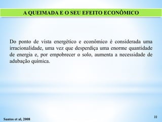 A QUEIMADA E O SEU EFEITO ECONÔMICO
Do ponto de vista energético e econômico é considerada uma
irracionalidade, uma vez que desperdiça uma enorme quantidade
de energia e, por empobrecer o solo, aumenta a necessidade de
adubação química.
22
Santos et al, 2008
 